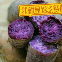 红薯苗15~25cm西瓜红苗，紫薯苗，龙薯苗，济薯苗，