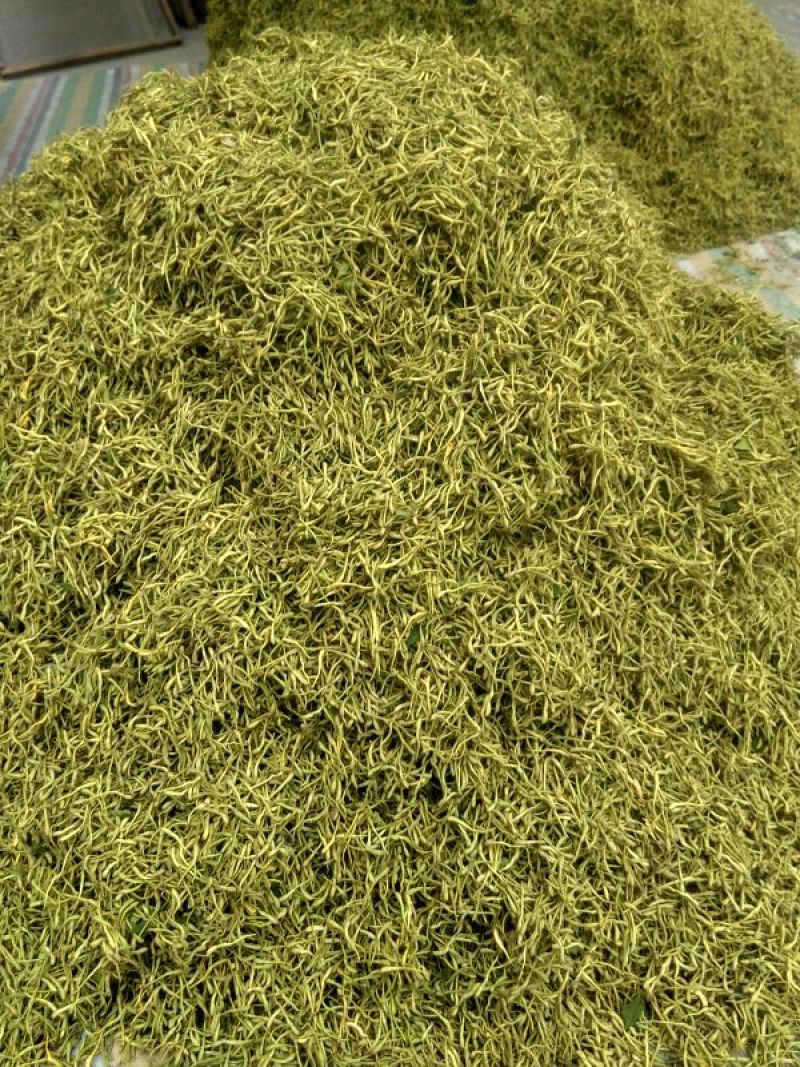高含量金银花！头茬二茬花原产地直供！
