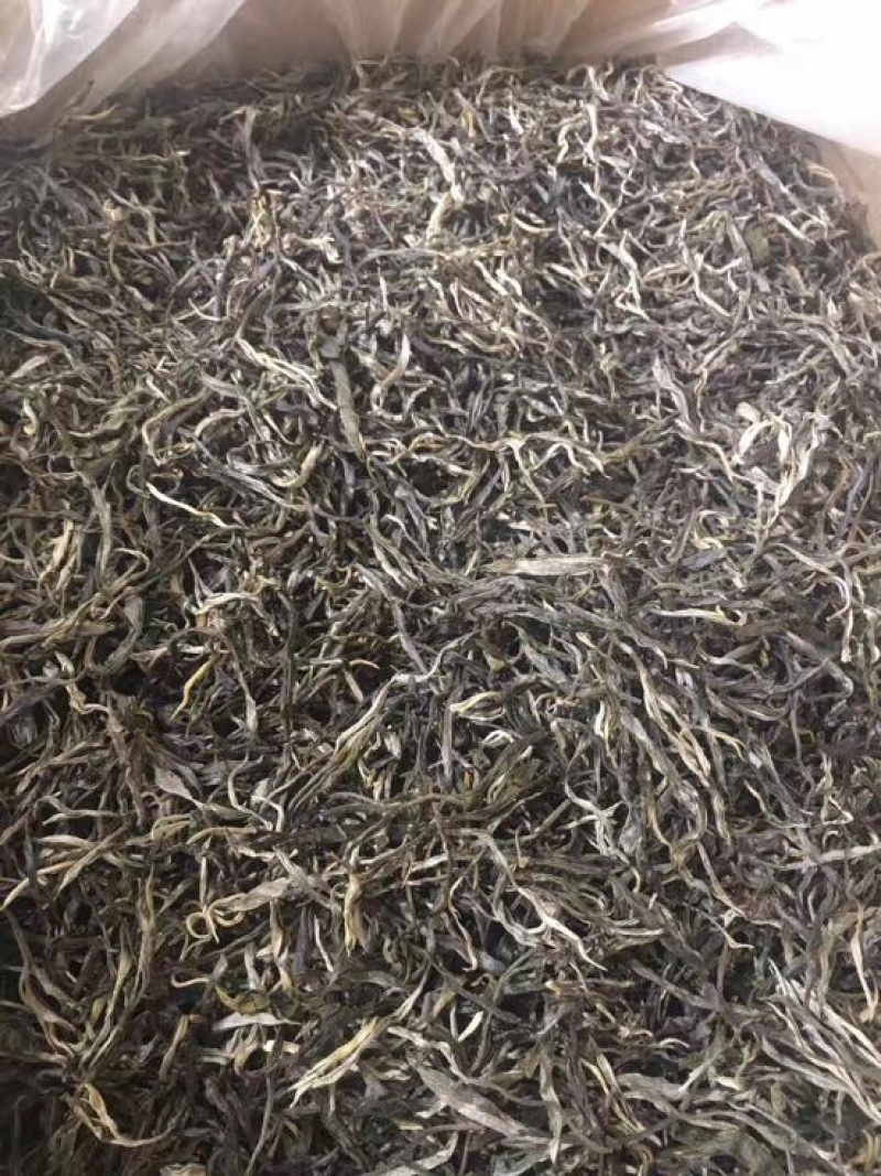 普洱茶