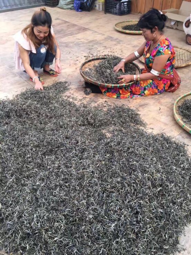 普洱茶