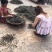 普洱茶