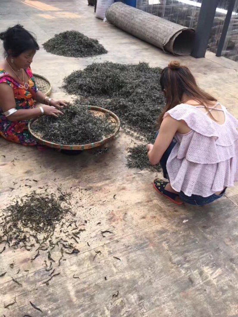 普洱茶