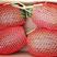 早春红玉西瓜，2K西瓜，皮薄大红瓤，保熟包甜，产地
