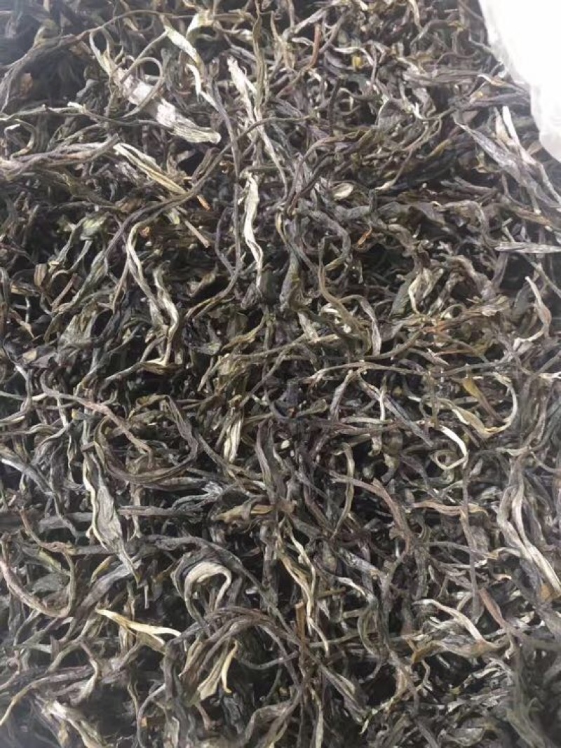 普洱茶