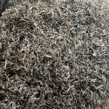 普洱茶二级