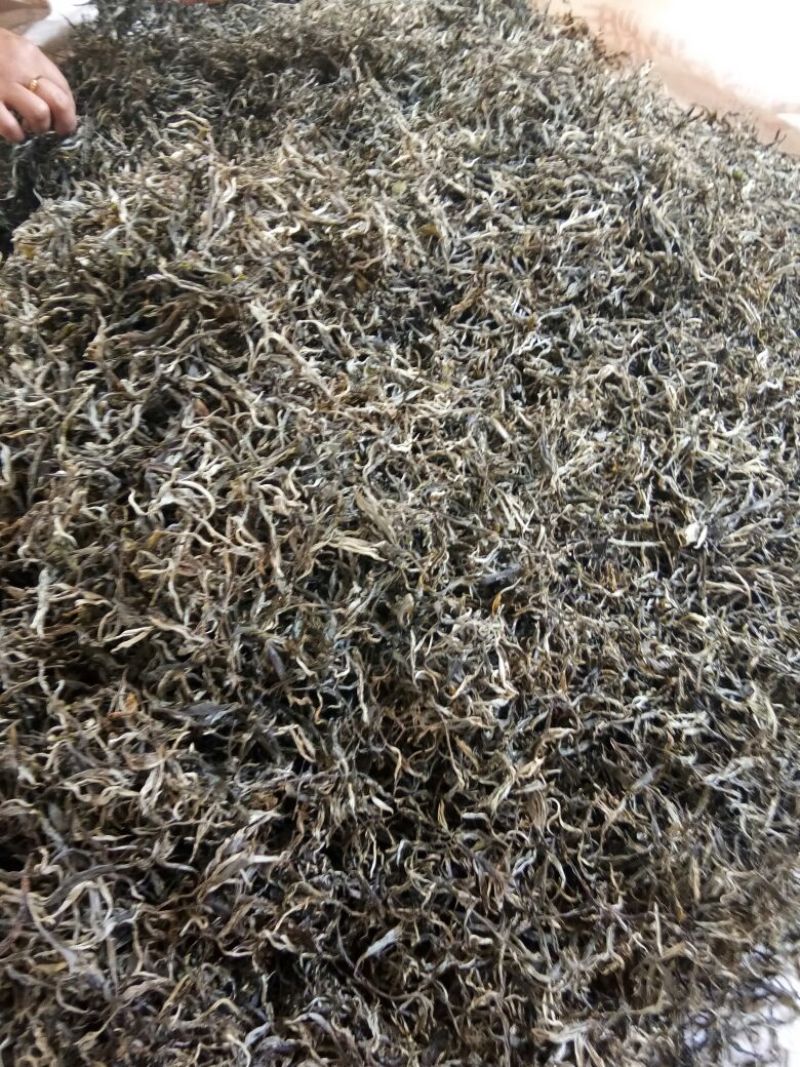 普洱茶二级