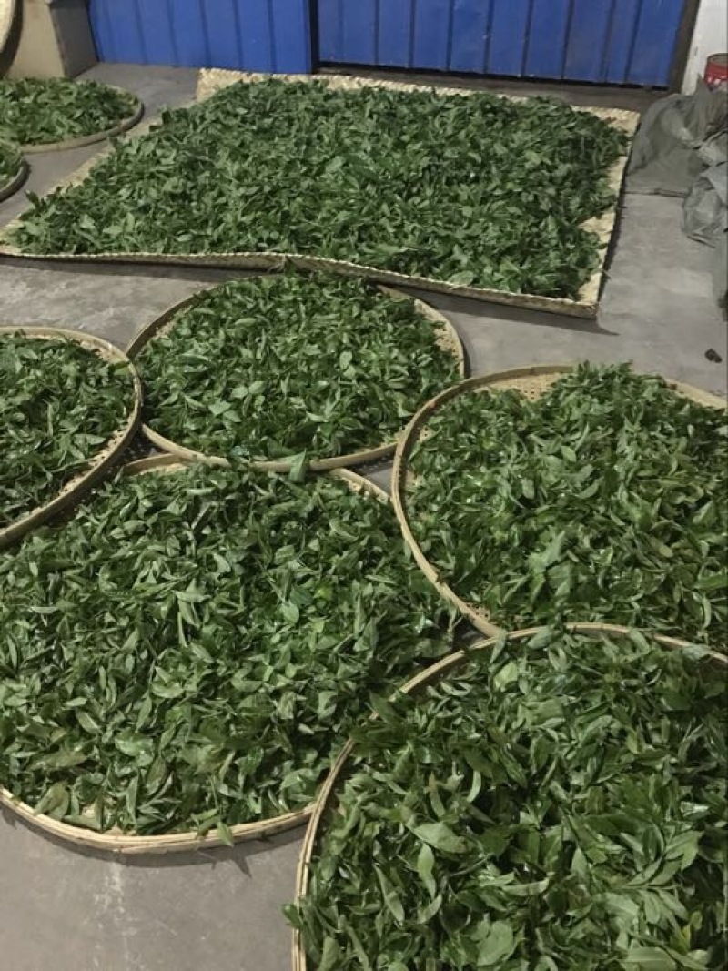 普洱茶