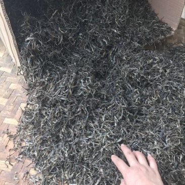 普洱茶