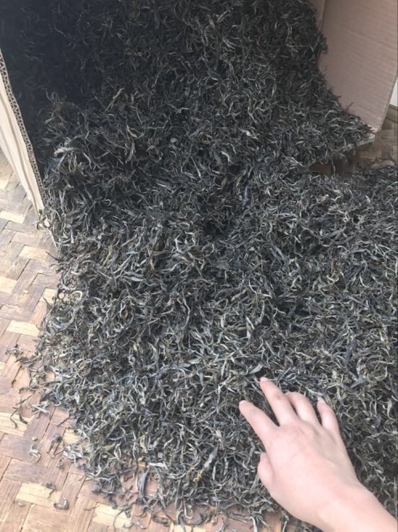 普洱茶