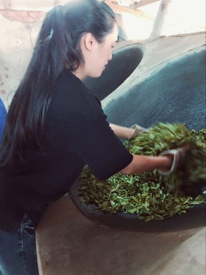 普洱茶