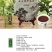 古树普洱茶