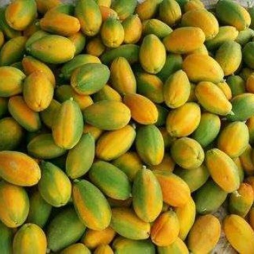 木瓜0.5~1斤
