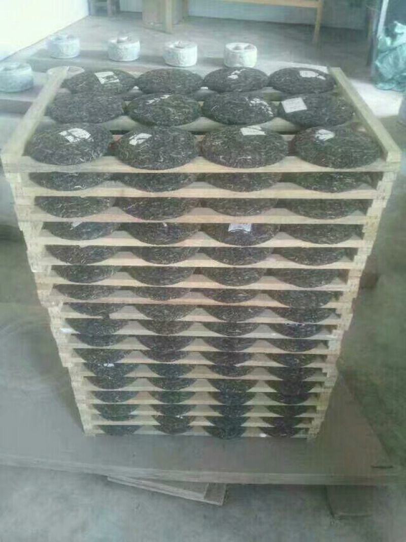 百年大树茶一级