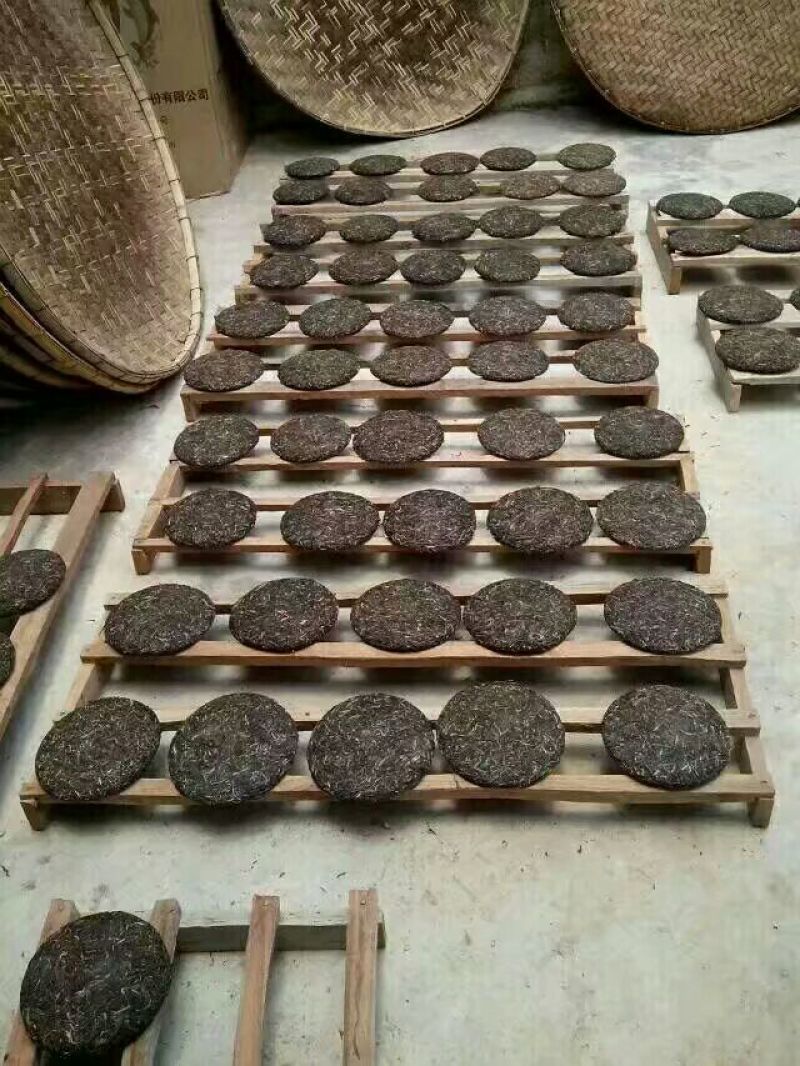 百年大树茶一级
