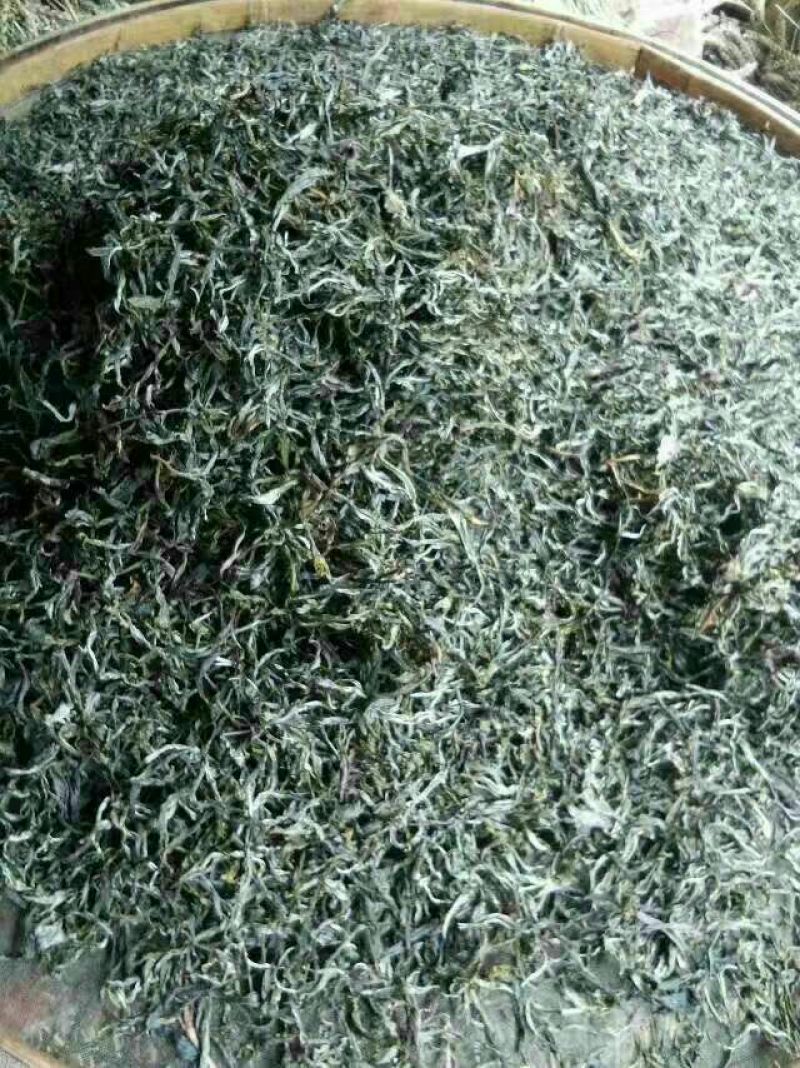 百年大树茶一级