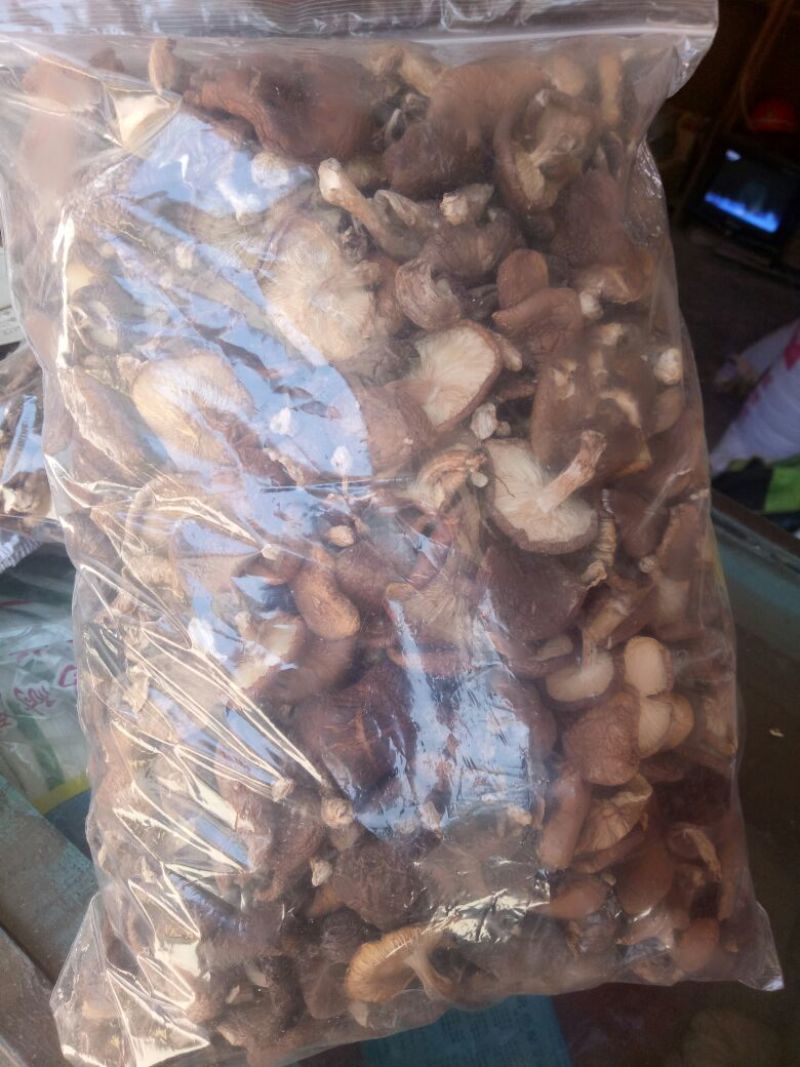 干蘑菇特级4cm