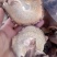 干蘑菇特级4cm