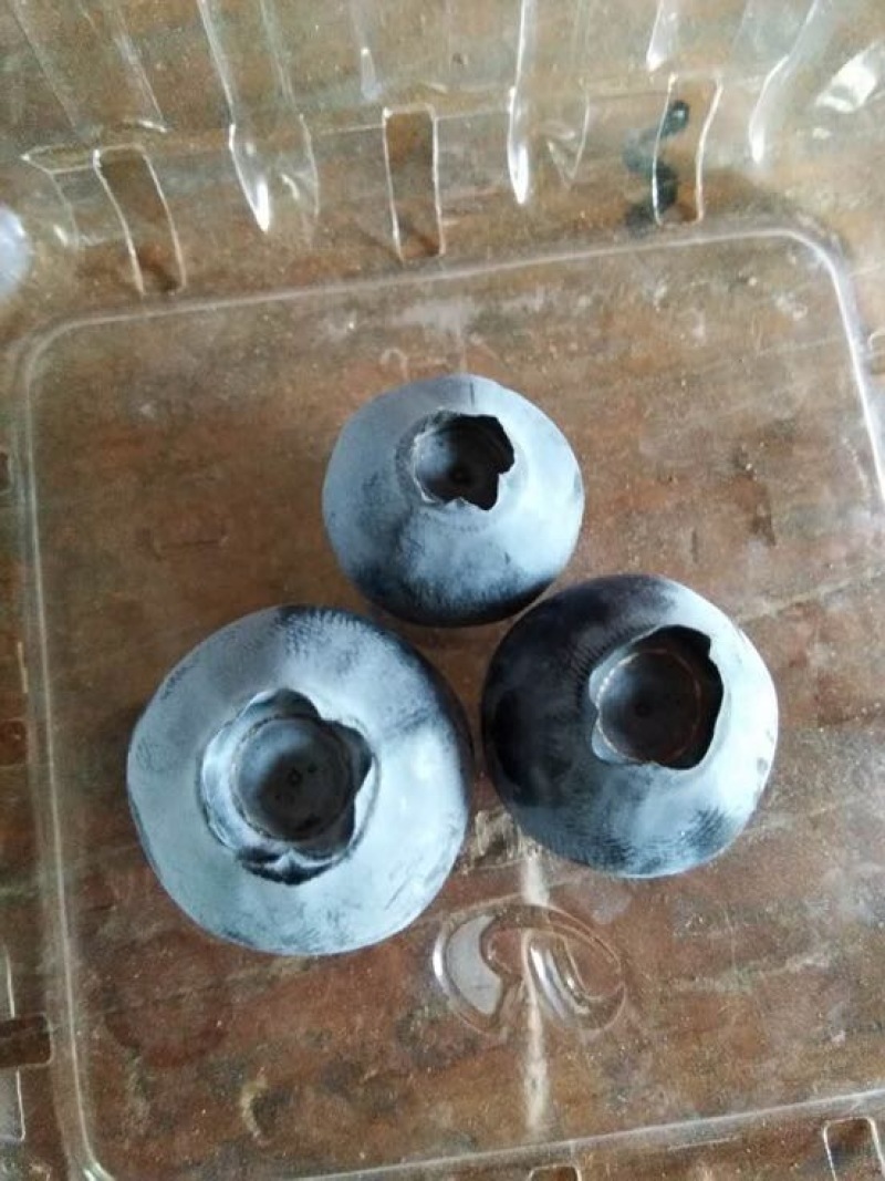 蓝莓