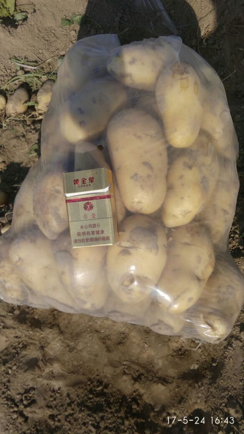 土豆精品4两以上