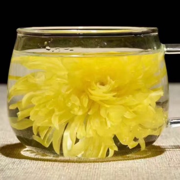 皇菊茶