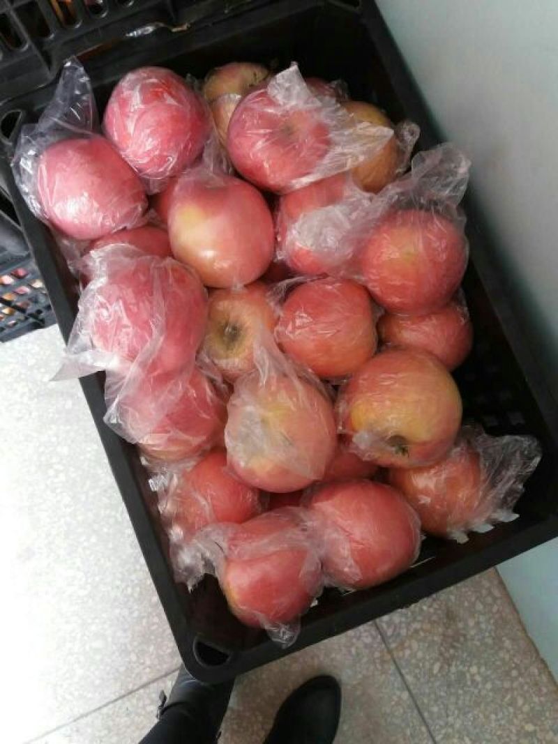 红富士苹果75mm以上膜袋，陕西红富士膜袋苹果直发