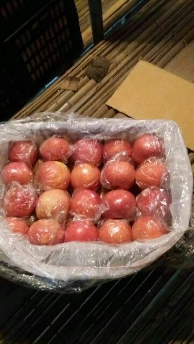 红富士苹果75mm以上膜袋，陕西红富士膜袋苹果直发
