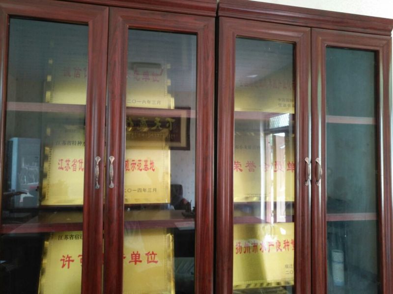 草鱼苗人工养殖5cm以下