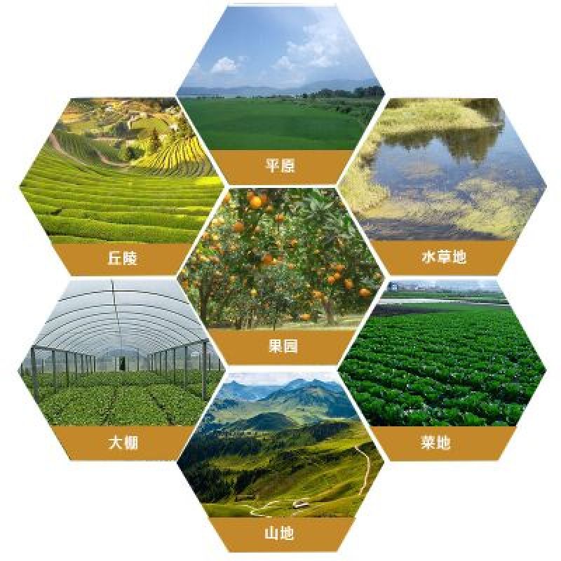 自走式喷雾器手动喷雾器