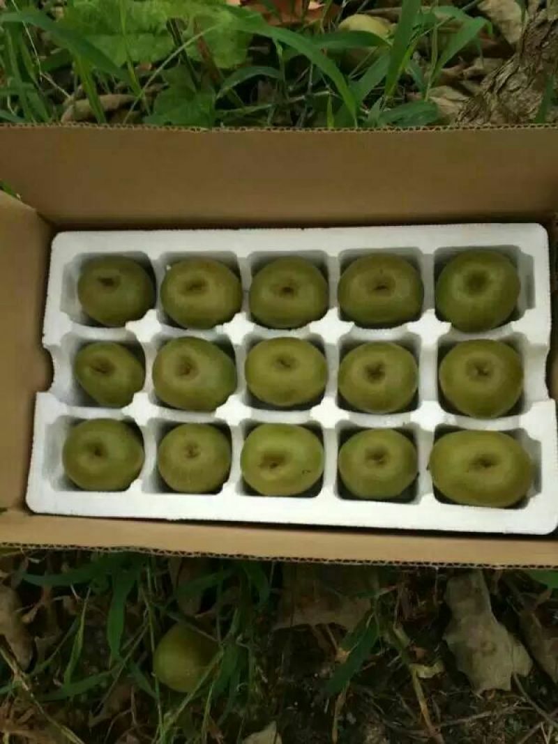 红心猕猴桃