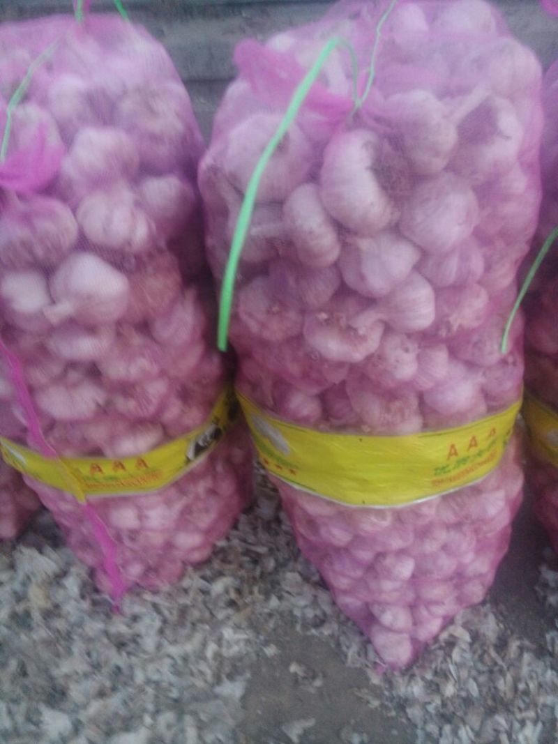 红蒜混级统货干蒜