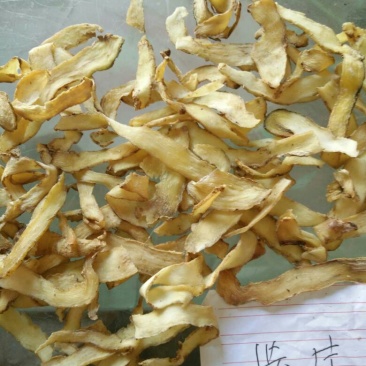玉竹干