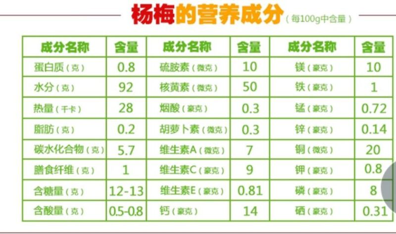 东魁杨梅3~4cm