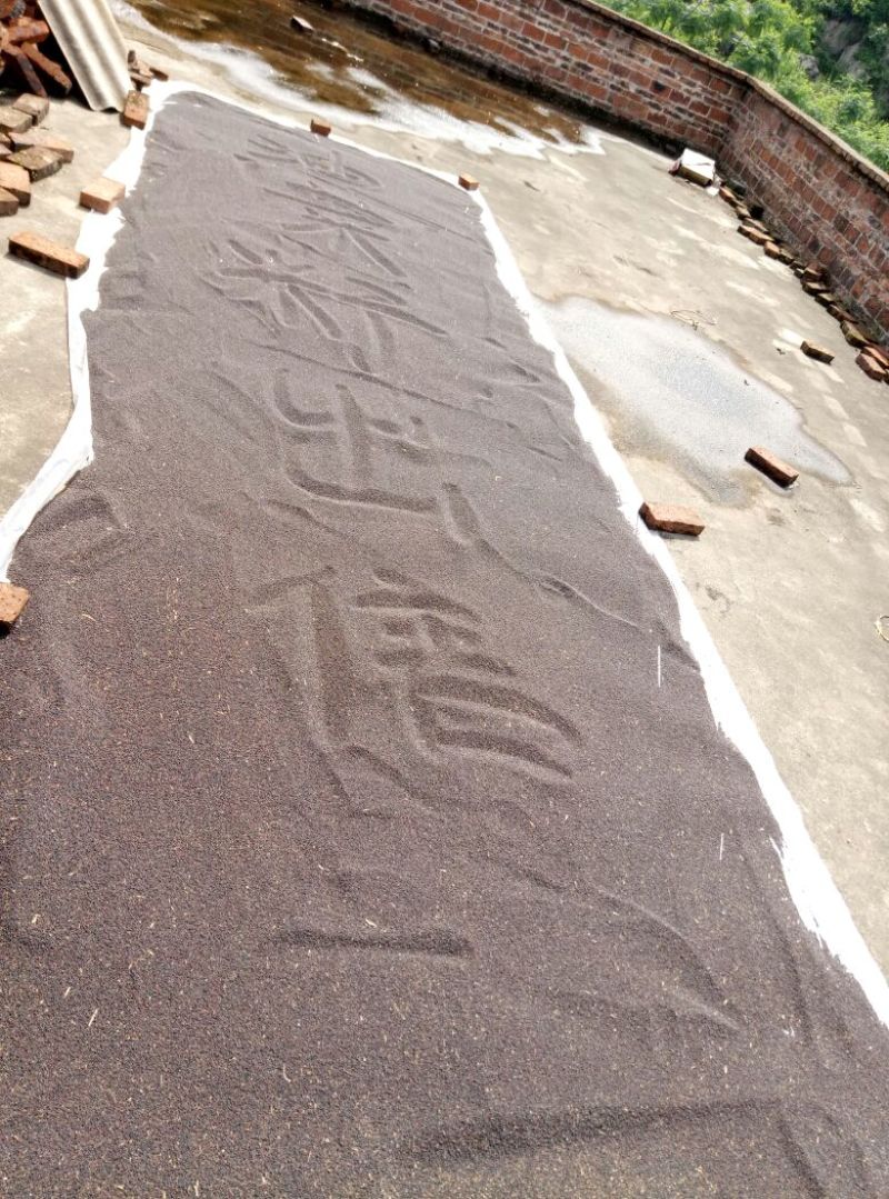 油菜籽出油率高，光泽亮，诚信经营，合作共赢