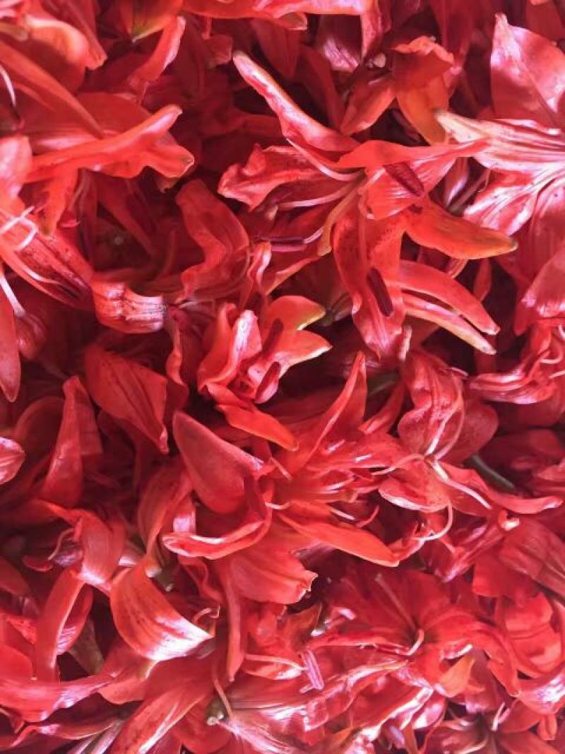 百合花