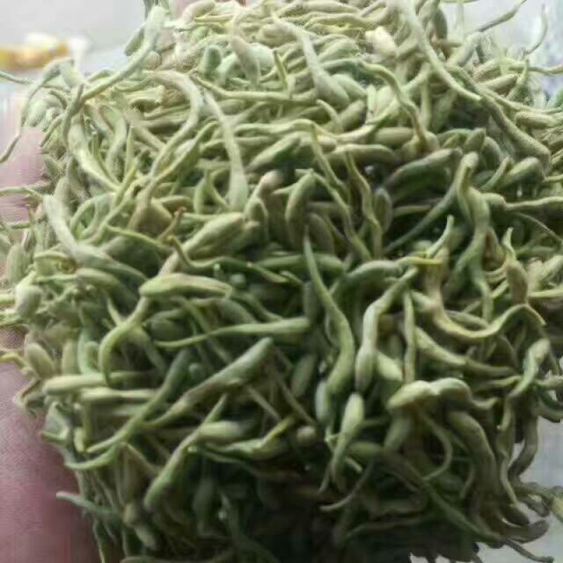 金银花色青花