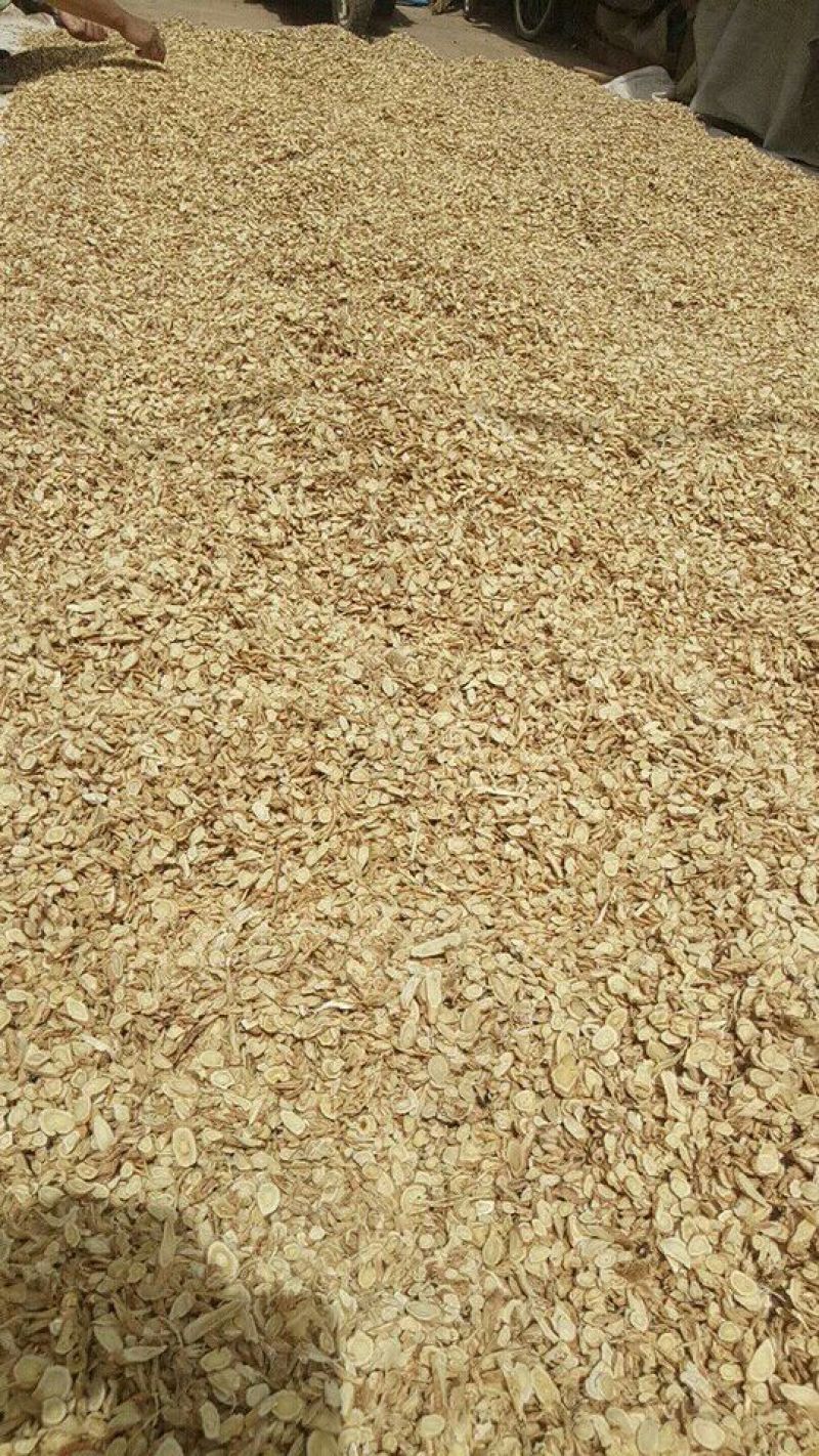 黄芪切片北芪片批发瓜子片薄片可定制规格