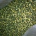 菊花茶特级