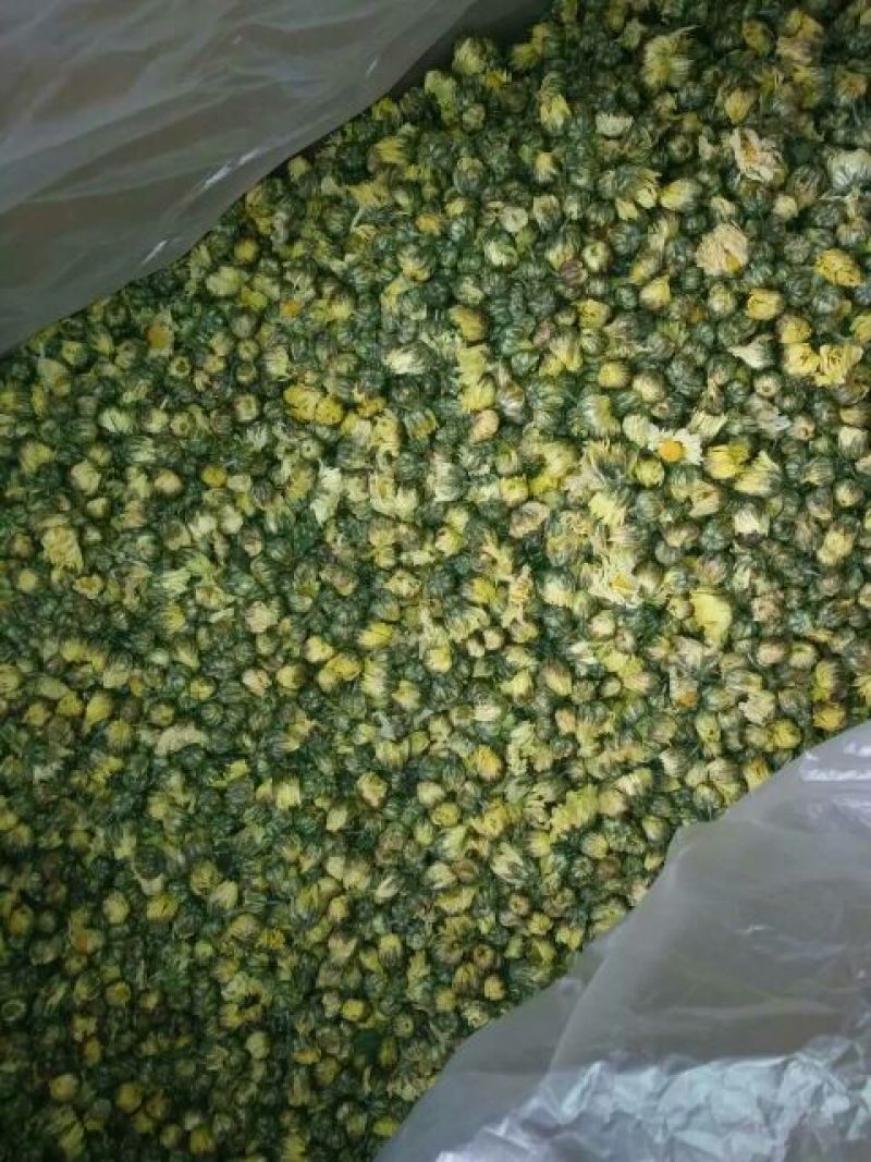 菊花茶特级