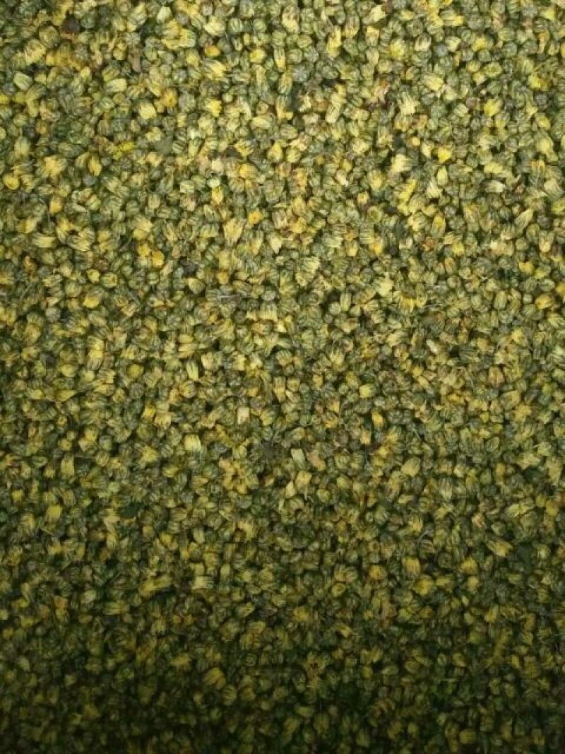 菊花茶特级