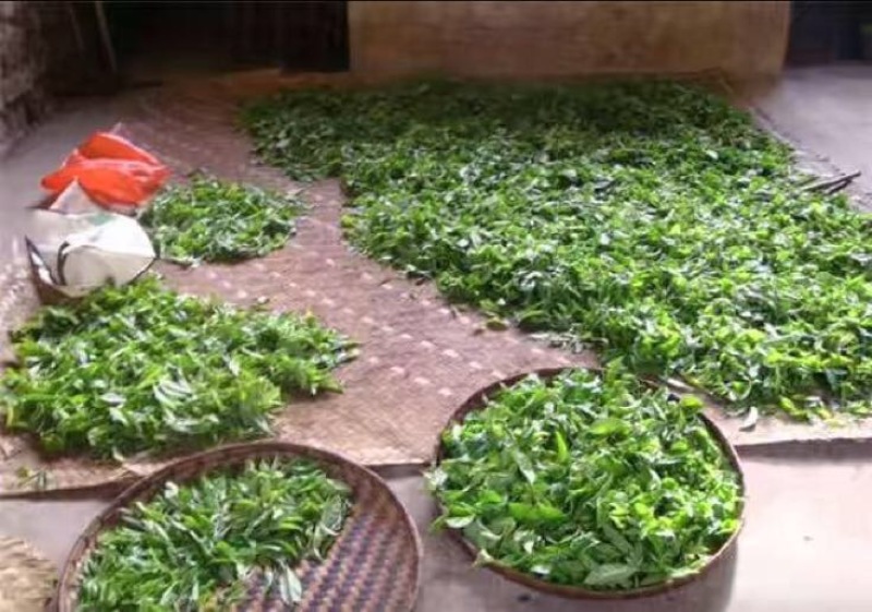 普洱茶