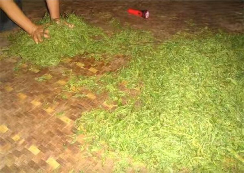 普洱茶