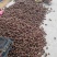 天然绿色褐云玛瑙黑蜗牛肉