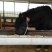 肉马600kg以上