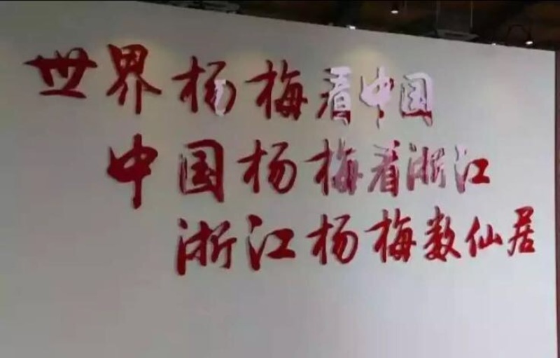 东魁杨梅