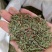 侧柏叶切段山东产人工种植干货量大从优