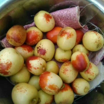 大荔冬枣色好。带红