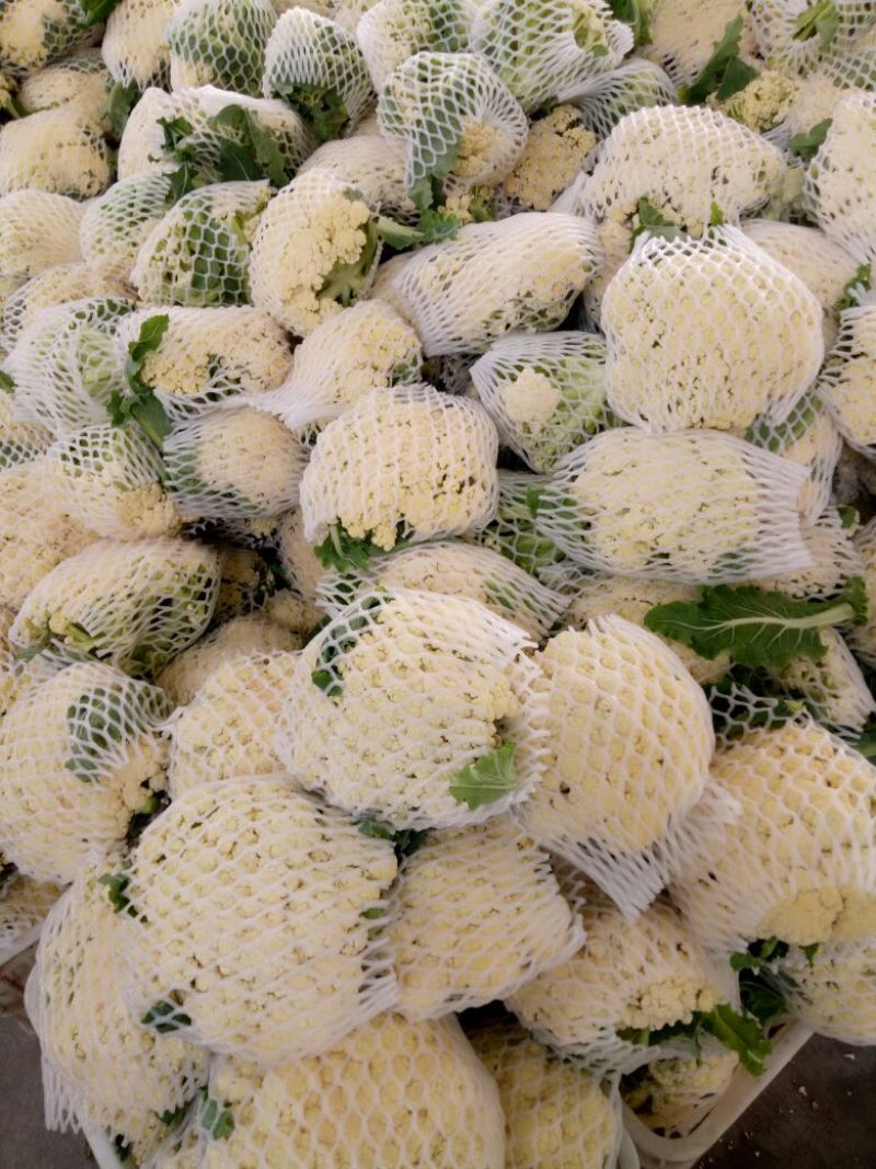 菜花