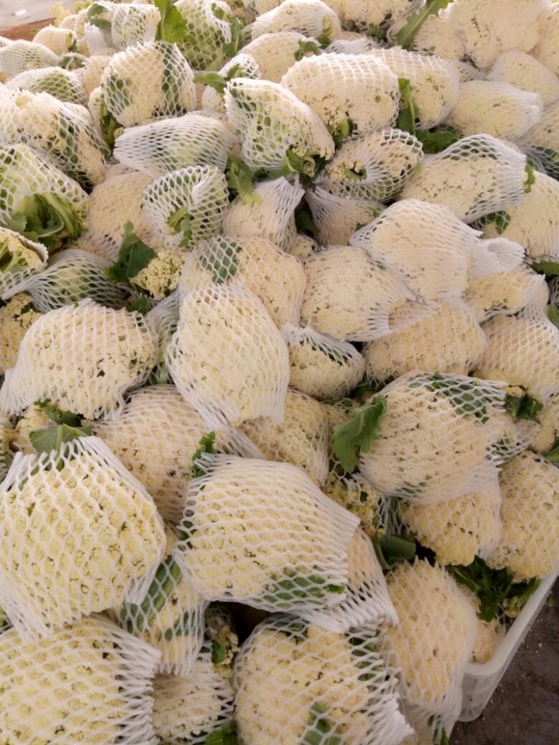 菜花