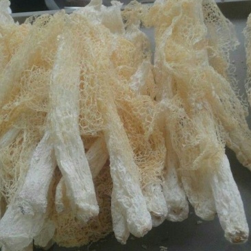 干竹荪特级