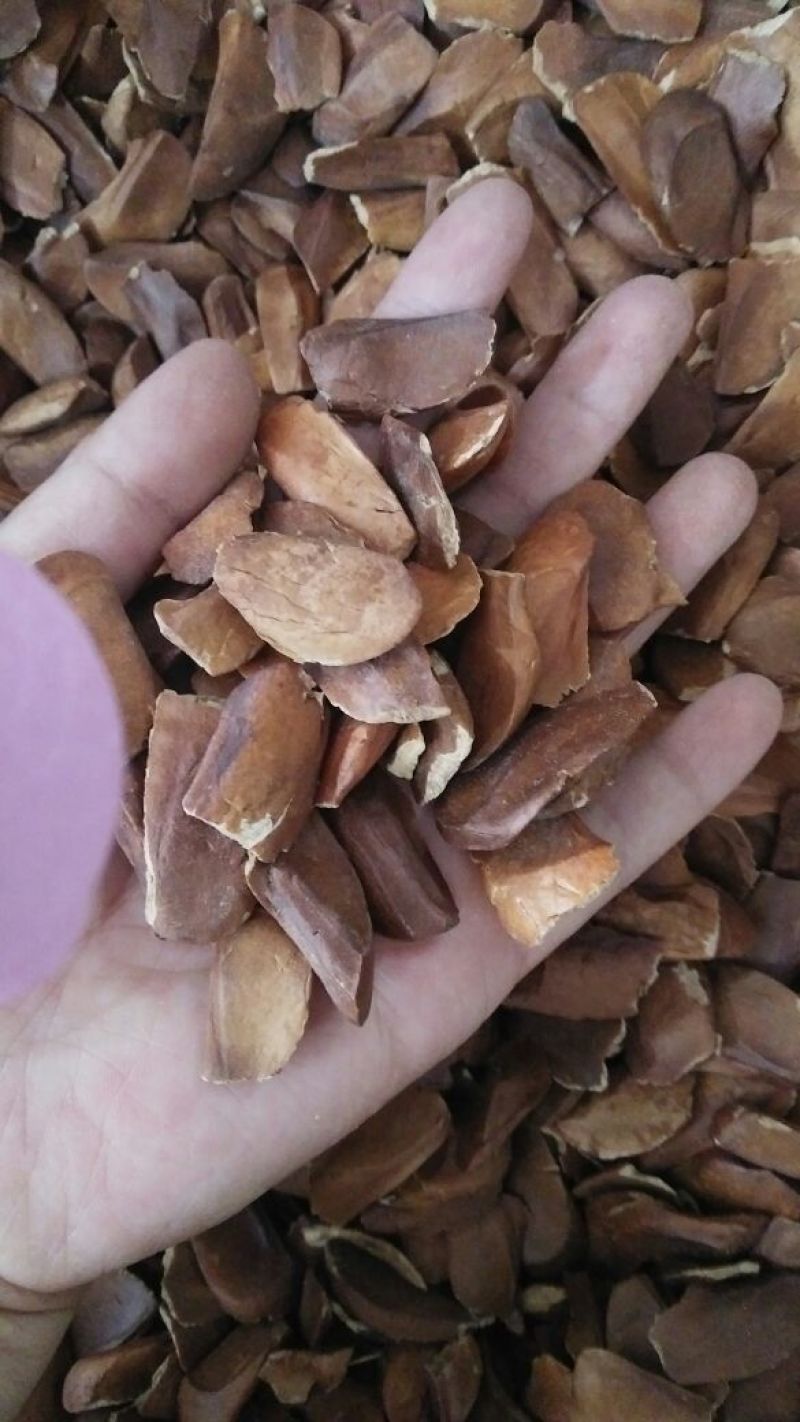 向天果颗粒饱满批发各种中药材质量保证批发零售各种规格中药